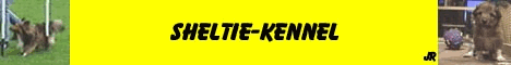sheltie-banner.gif (131825 bytes)