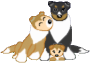 sheltie-zittend.gif (7534 bytes)