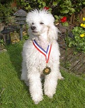 13.jpg (15765 bytes)