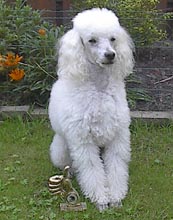 Onderl.w.VP.jpg (13287 bytes)