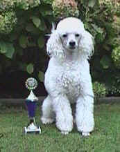 agilitybeker-02.jpg (11951 bytes)