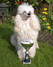 08.jpg (15459 bytes)