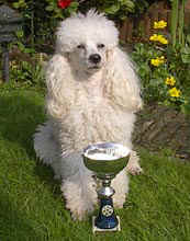 09.jpg (14308 bytes)