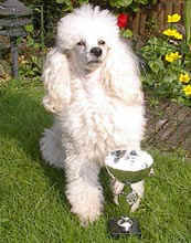 10.jpg (15435 bytes)