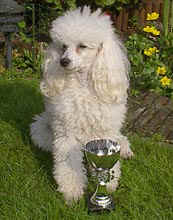 11.jpg (14142 bytes)