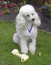 18-alphenaandenrijn.jpg (14642 bytes)