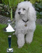 2002-09-01 Beneden-Leeuwen-Gentle.jpg (11612 bytes)