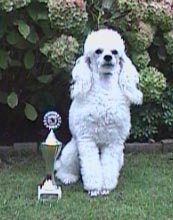 agilitybeker-05.jpg (12107 bytes)