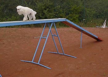 agilitygentle-05.jpg (20388 bytes)