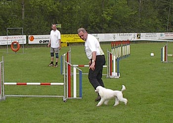 agilitygentle-08.jpg (24076 bytes)