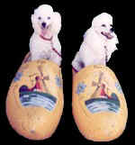 dutchpoodlesitering.jpg (7088 bytes)