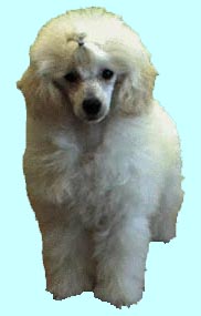 marilou (8548 bytes)