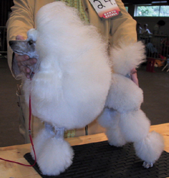 teun.jpg (62486 bytes)