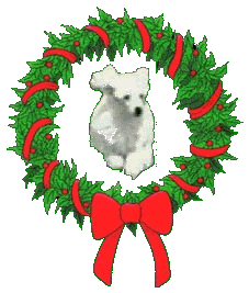 Kerstband.gif (26825 bytes)