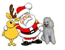 kerst2.gif (11025 bytes)