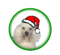 kerstmanb.gif (12025 bytes)