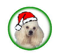 kerstmang.gif (13951 bytes)