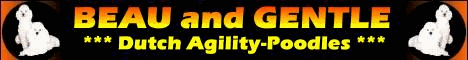 banner-agility-poodles.gif (356427 bytes)