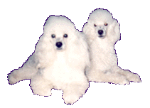 BG_boven_kaarten.gif (10555 bytes)