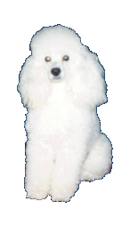 pedigree-gentle.gif (11012 bytes)