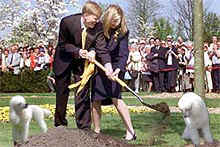 wedding-04.jpg (16875 bytes)