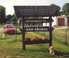 sacha-badsachsa.jpg (19897 bytes)